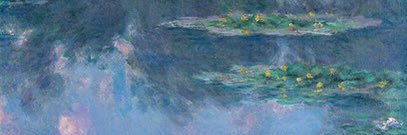ayane🌿 banner
