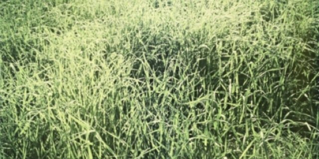 sofiemk's profile banner image