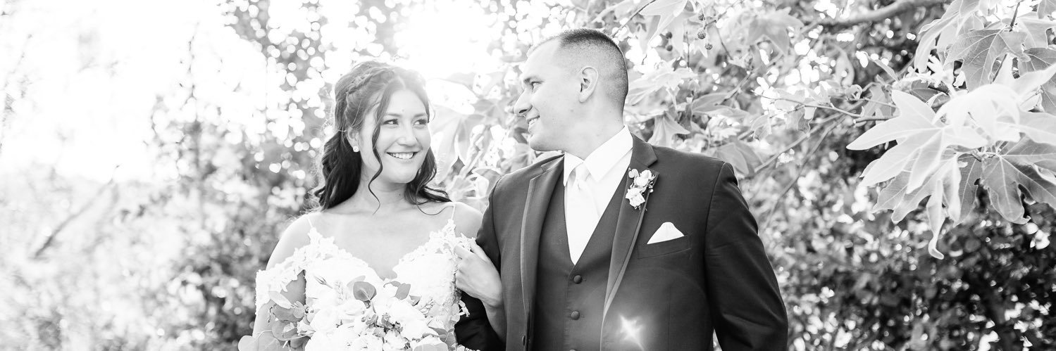 Stephanie Benson banner