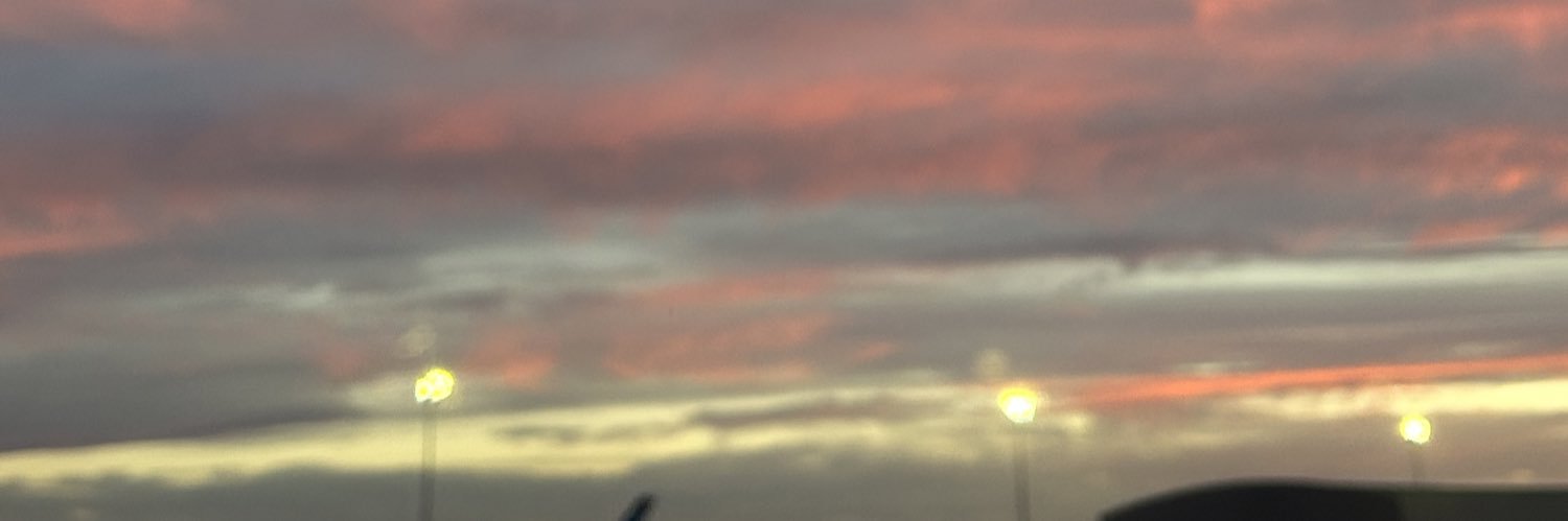 panicpiremses's profile banner image