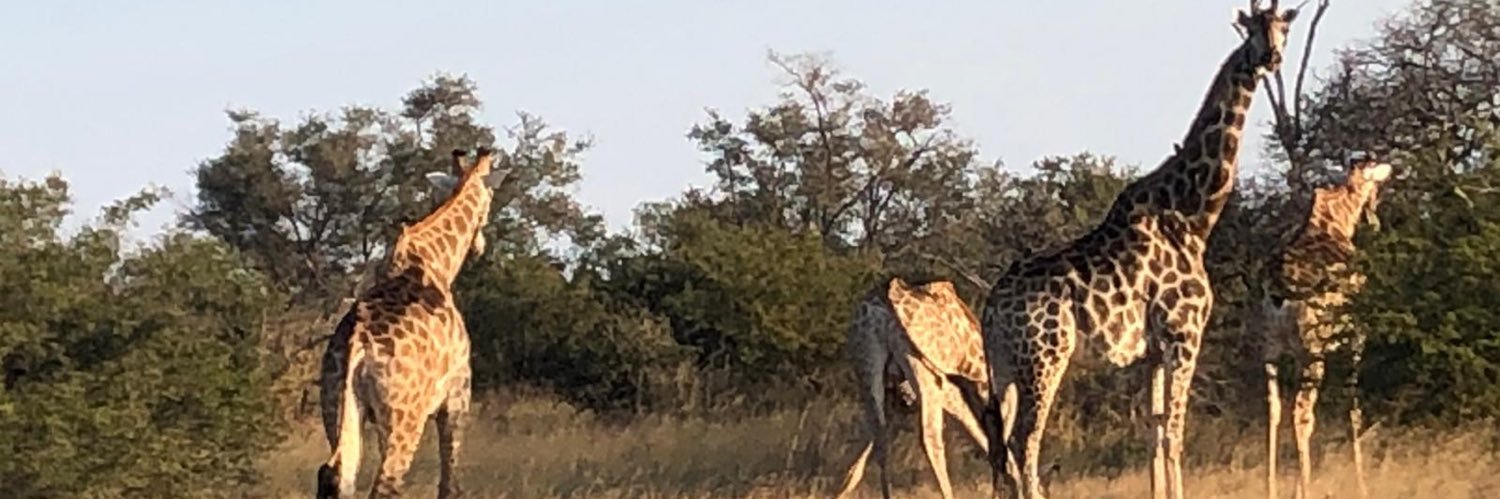 Patty van Rooij banner