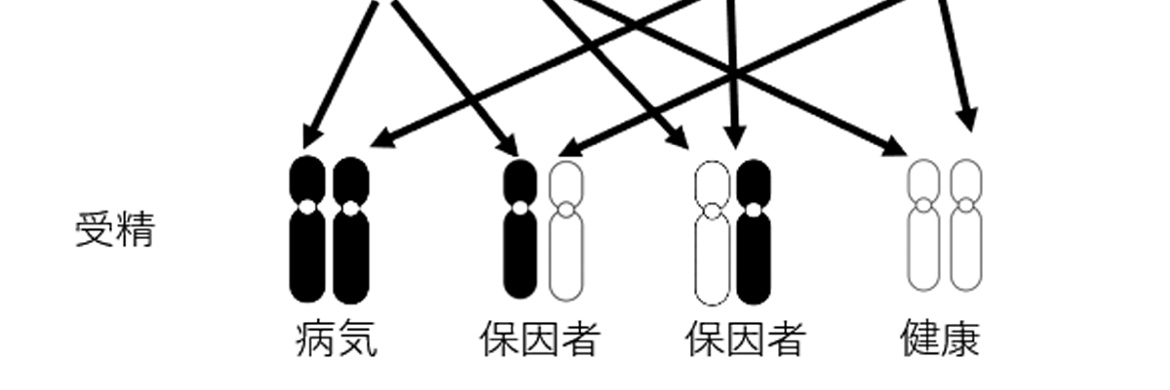 劣 banner