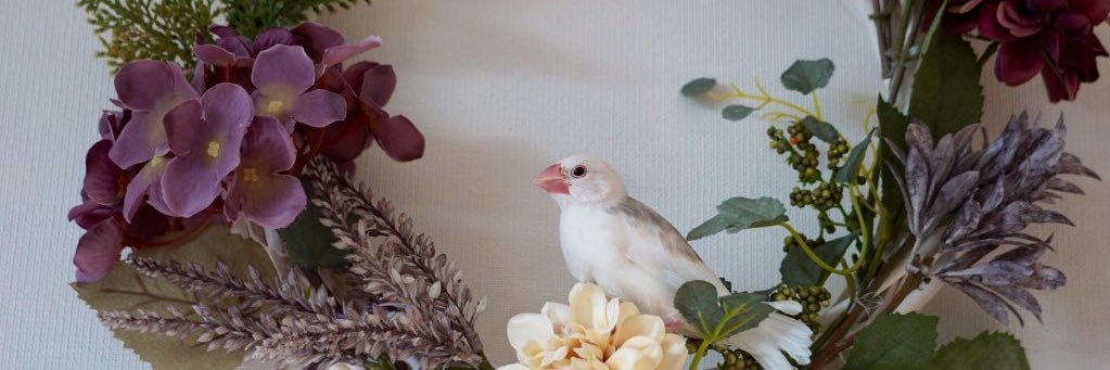 googoo1812's profile banner image