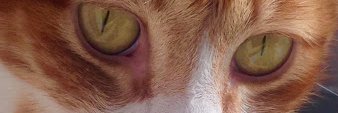 DESI59's profile banner image