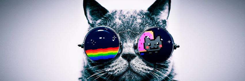 ananoteimporte's profile banner image