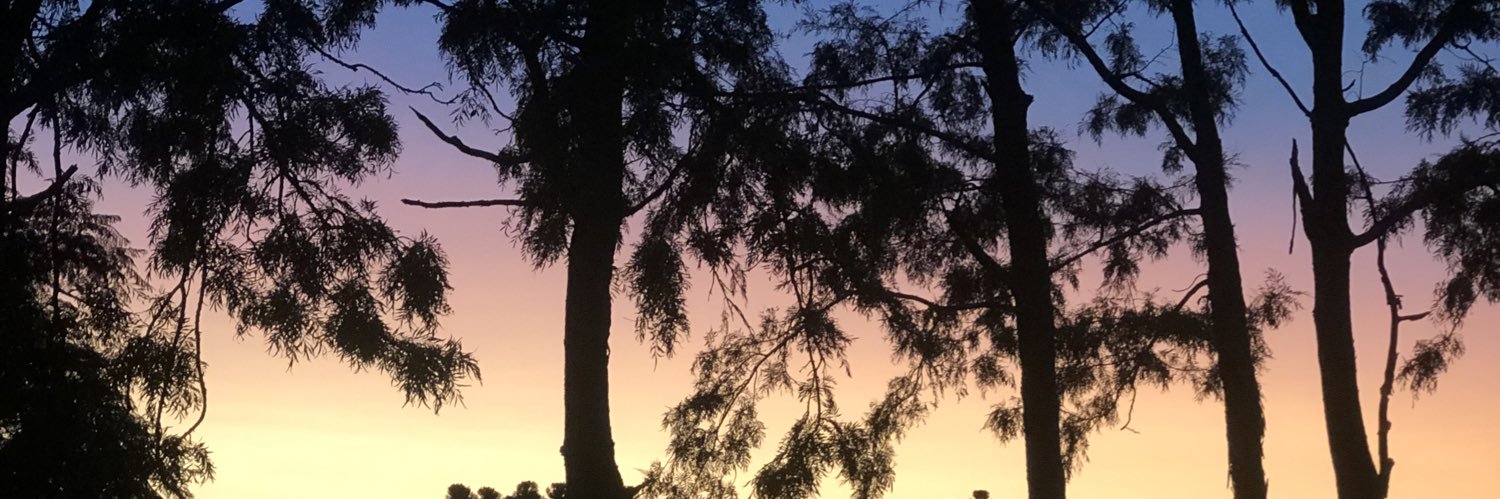 _____JanaC's profile banner image