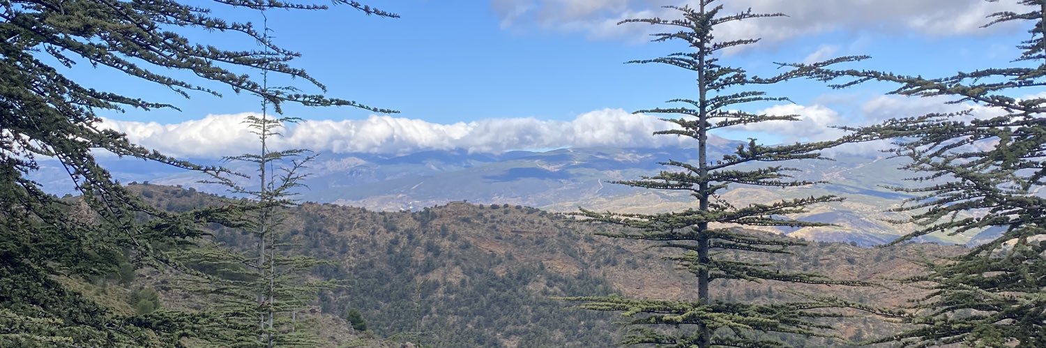 Lolarque's profile banner image