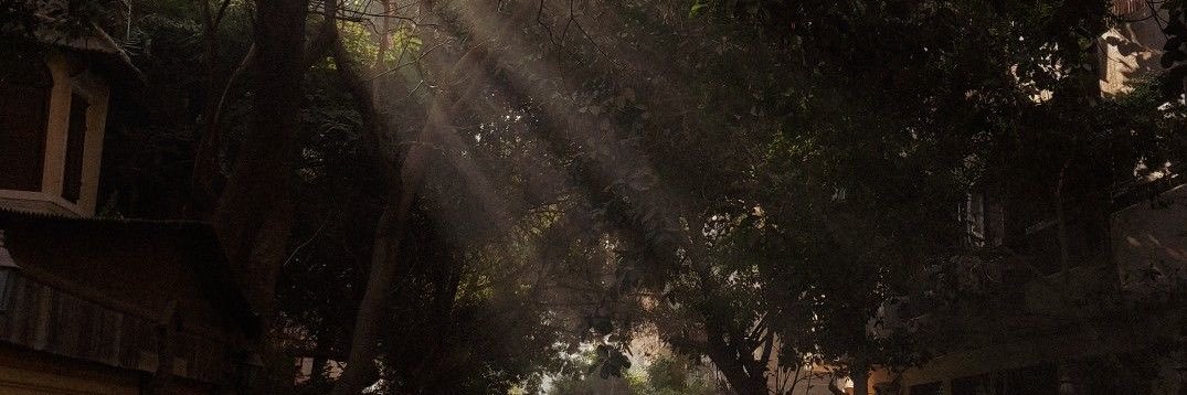 sunshine👁️ banner