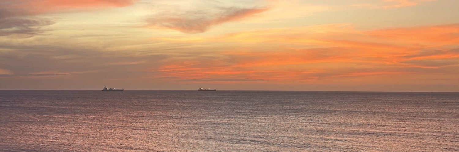 ForroDeTeflon's profile banner image