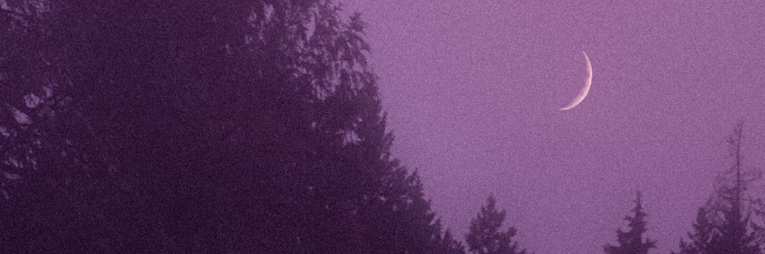 mccourtreport's profile banner image