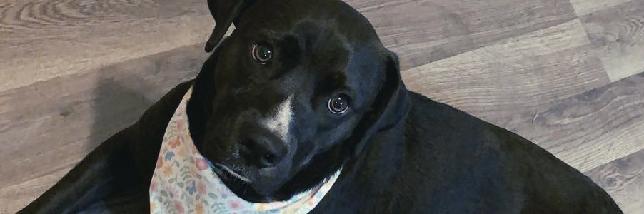 madisoncouch1's profile banner image