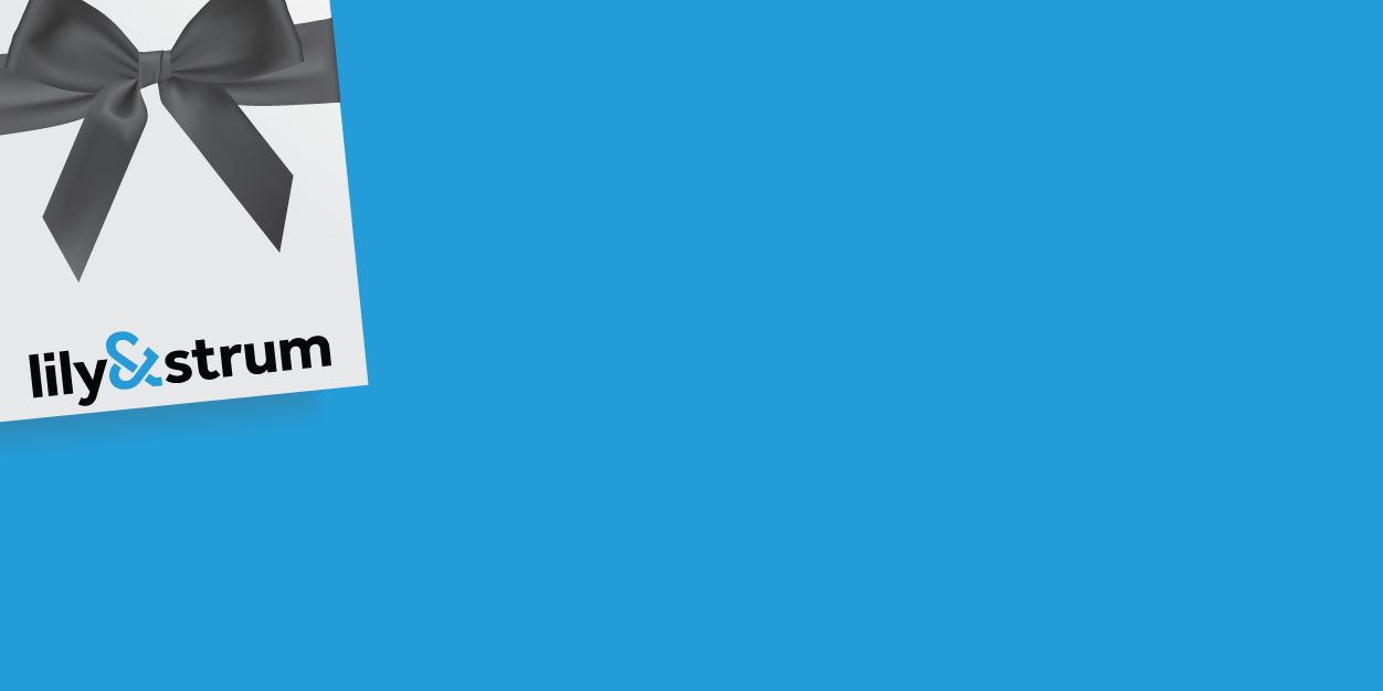 Lily&Strum banner