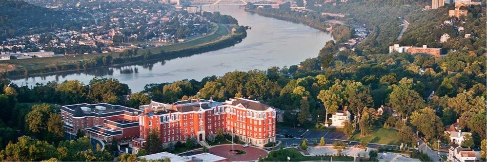 Holly Northern banner