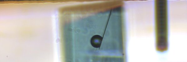 CecileFormosa Profile Banner