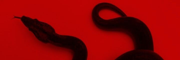 garciatss's profile banner image