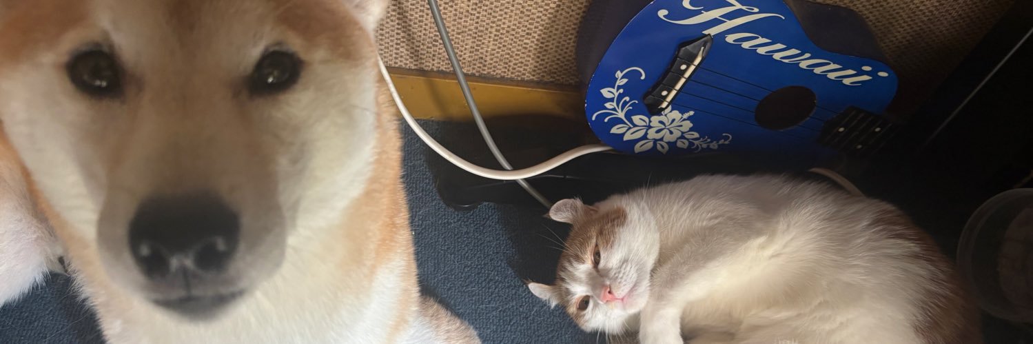 A_jamlov's profile banner image