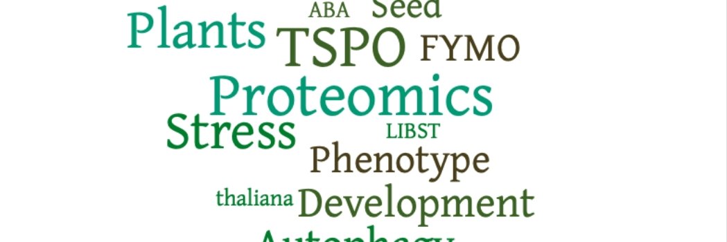 TSPO_Autophagy banner