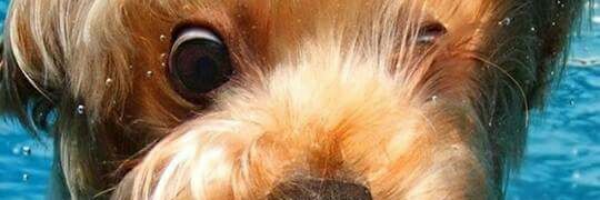 osotex25's profile banner image