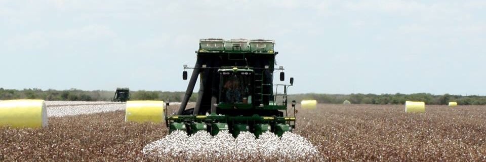 npinkston79's profile banner image