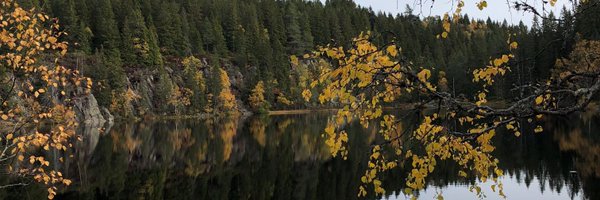 OsloSip Profile Banner