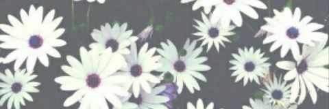 YurmaurvicGuill's profile banner image