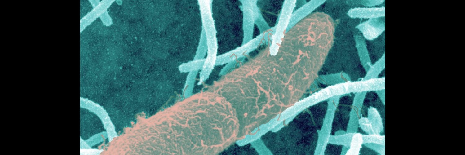 MicrobeSense's profile banner image
