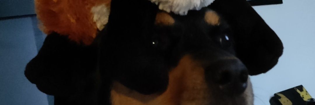 LemonVR banner