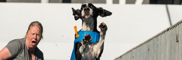 dDBlythe Profile Banner