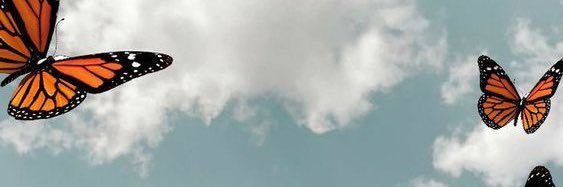 solanalewis_'s profile banner image