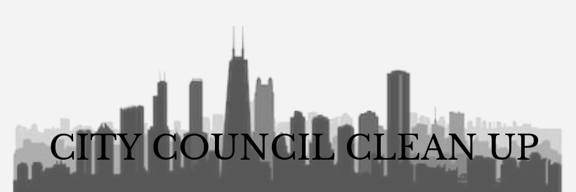 City Council Cleanup banner