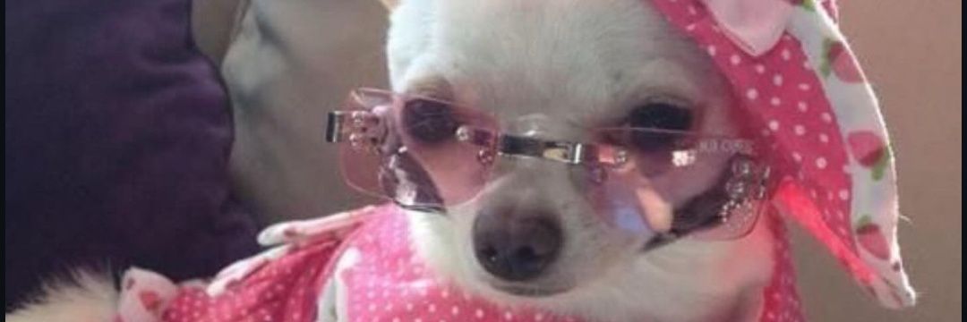 killertati71's profile banner image