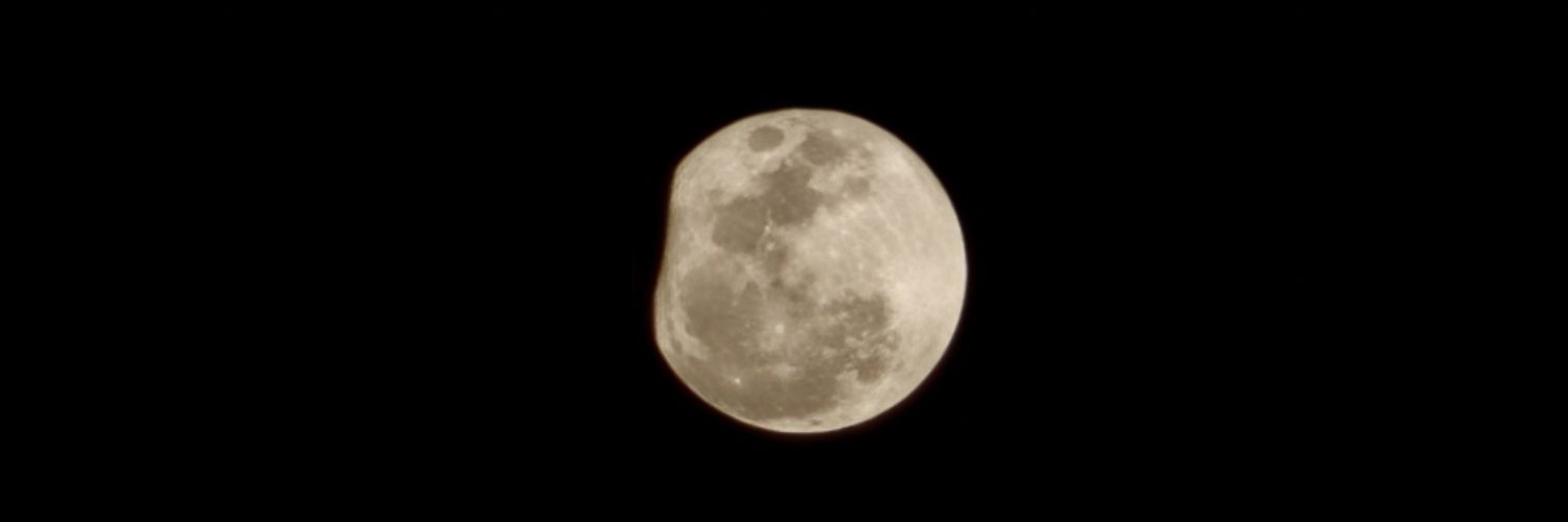 smluna_'s profile banner image