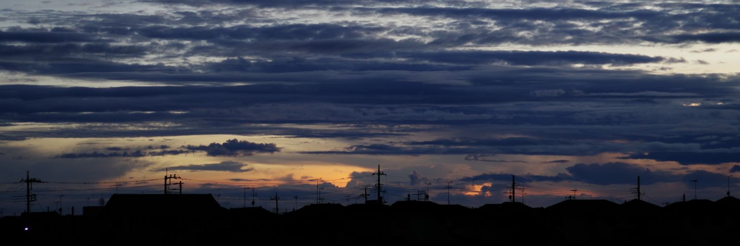 D.Aoki (Amamori） banner