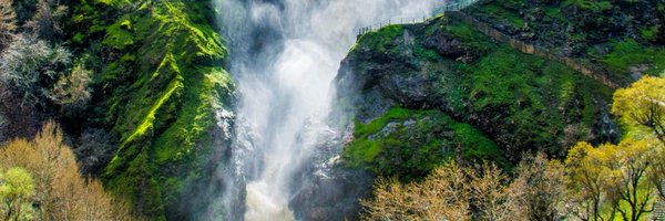 HereshAmini Profile Banner