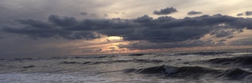 wejdansaleem_'s profile banner image