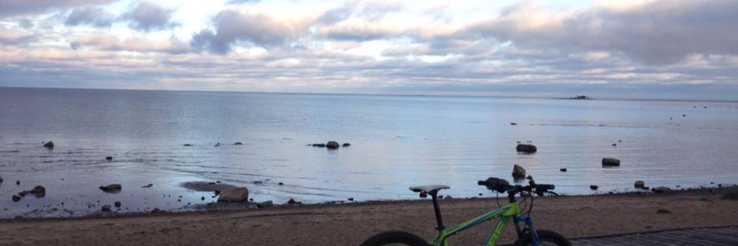 PmAhoniemi's profile banner image