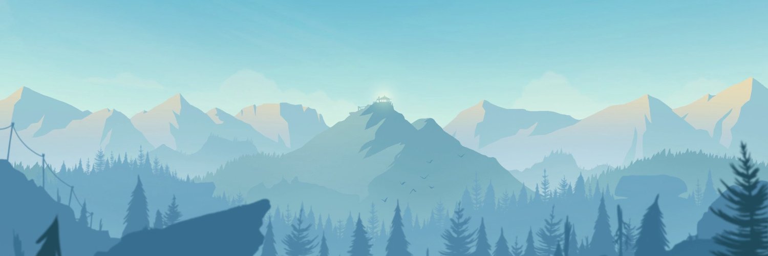 netotms's profile banner image