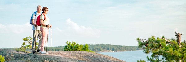 LHLorg Profile Banner