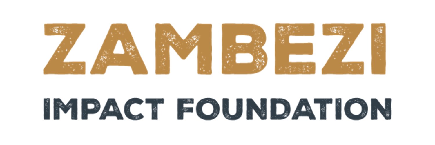 ZambeziImpact's profile banner image