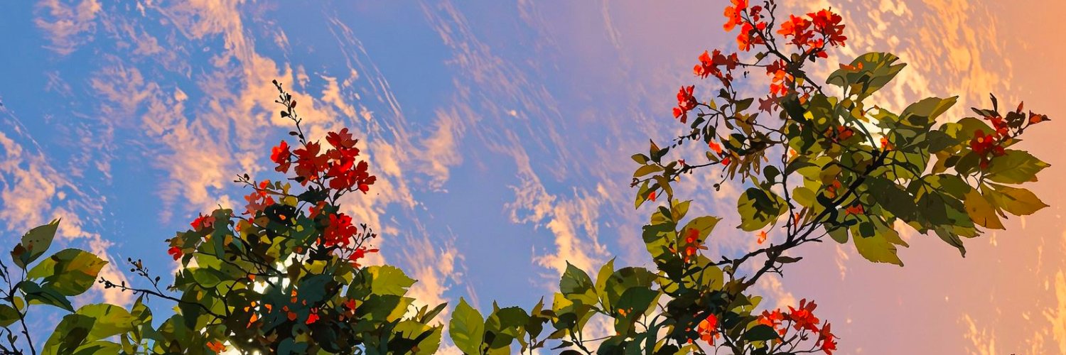 xyankit's profile banner image