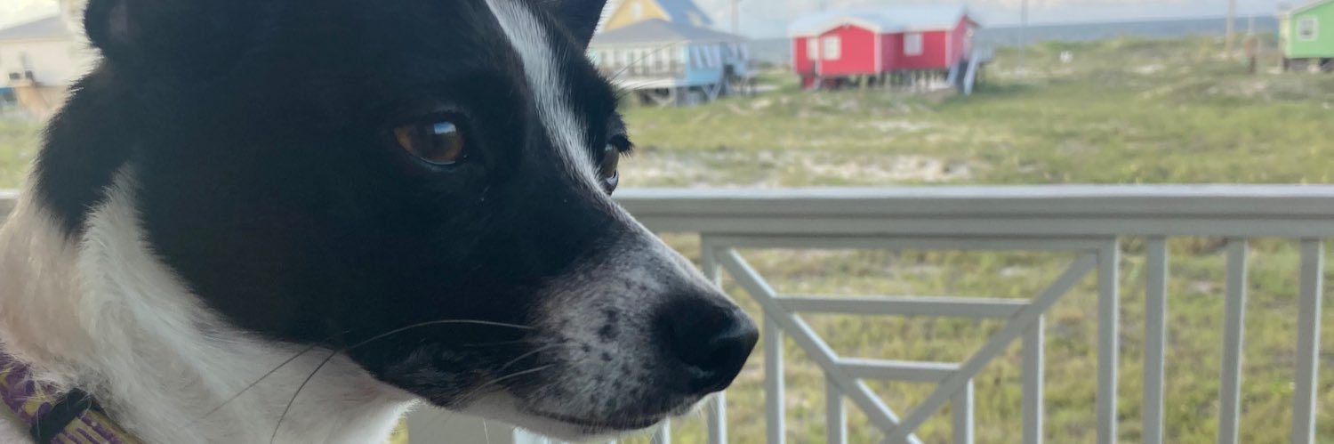 JoniKernan's profile banner image