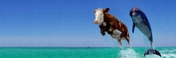 kathmiller45's profile banner image