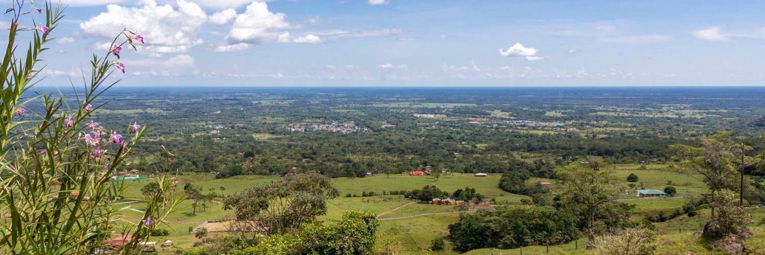 Ingrid Riaño B banner