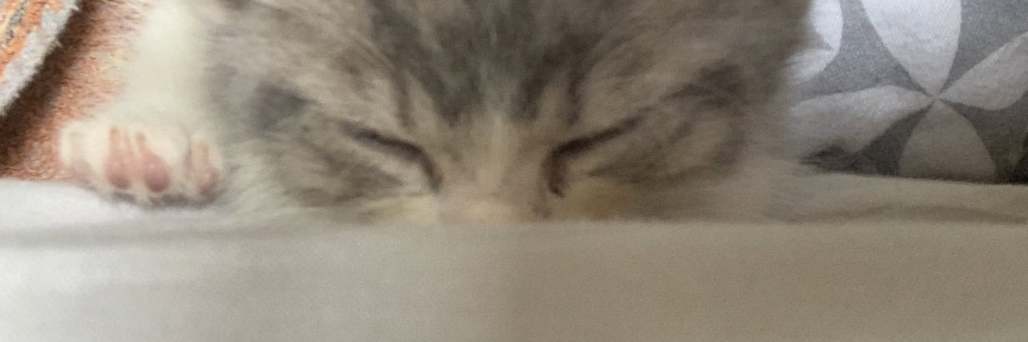 ErolGS's profile banner image