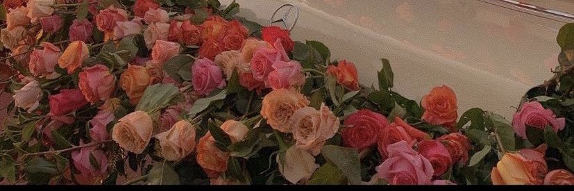 lome_lisette's profile banner image