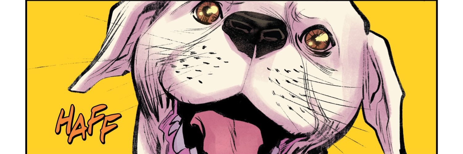 SteelKrypto's profile banner image