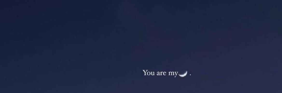 N banner