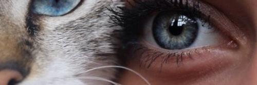 erje69's profile banner image