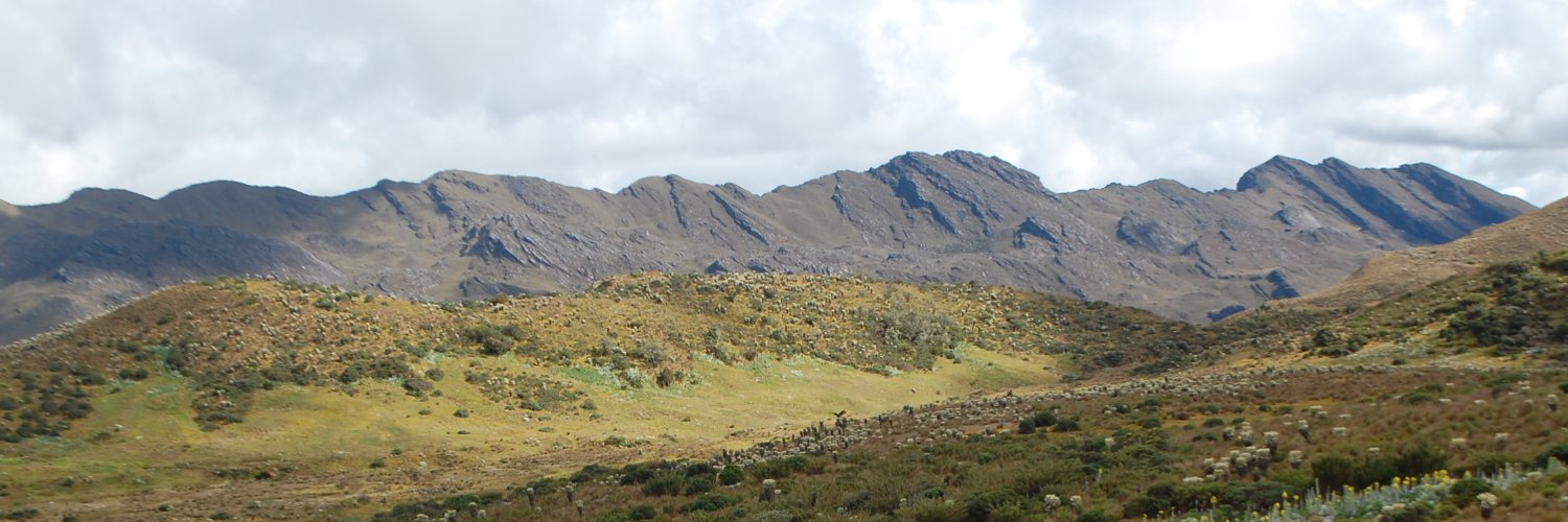 Ares Biescas aresbiescasrue.bsky.social banner