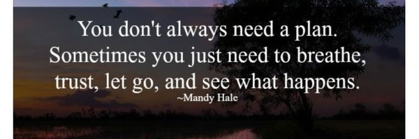 Mindfuleagle Profile Banner